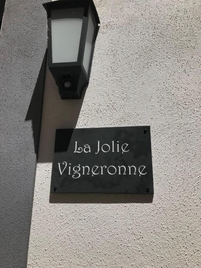 Villa La Jolie Vigneronne Marseillan  Esterno foto